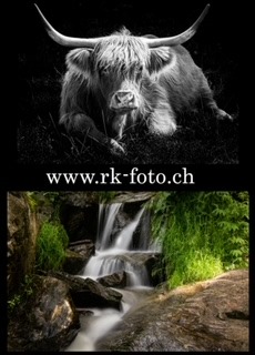 Tiere Wasser